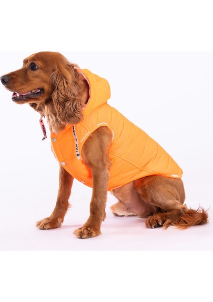 Neon Turuncu Railway Yelek Köpek Yeleği Köpek Kıyafeti Köpek Yağmurluk fiyatları