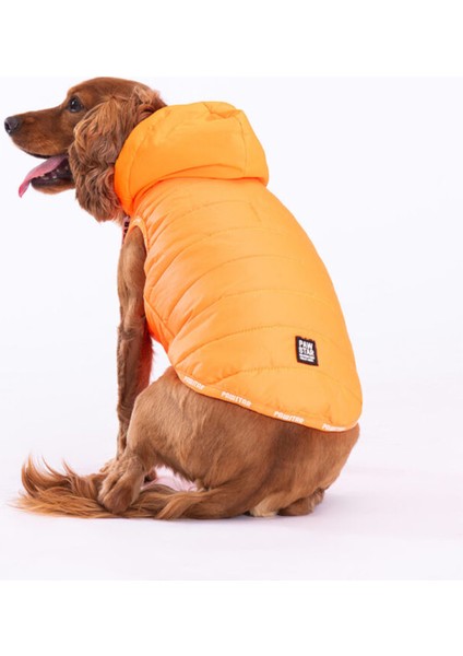 Neon Turuncu Railway Yelek Köpek Yeleği Köpek Kıyafeti Köpek Yağmurluk modelleri