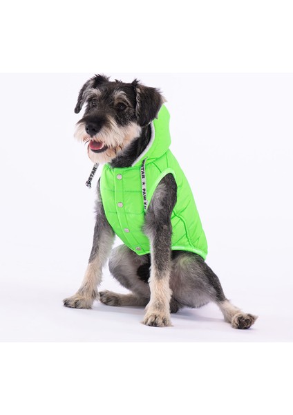 Neon Yeşil Railway Anorak Yelek Köpek Yeleği Köpek Kıyafeti Köpek Yağmurluk