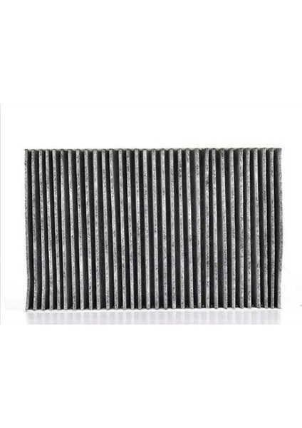 Polen Filitresi Vw A6 Karbonlu HENGST4B0819439A