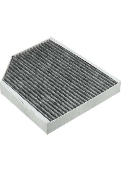 Polen Filitresi Vw A4 1.8-2.0 Tfsi Tdi Karbon 08 Bosch 8K0819439B