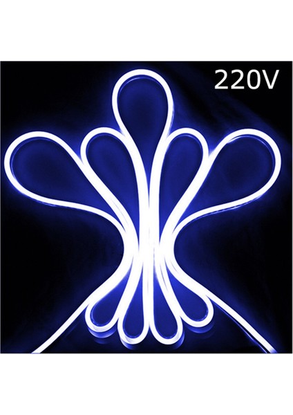 9*16 HORTUM LED 10 METRE MAVİ 220 VOLT (MİNİMUM 1 MT. KESİLEBİLİR)