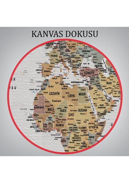 Türkçe Detaylı Dünya Haritası Dekoratif Renkli Zeminli Kanvas TABLO-1701