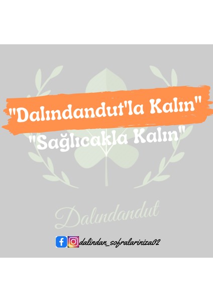 Yeni Mahsül Doğal Kırmızı Orman Meyveleri 250 gr e fiyatları