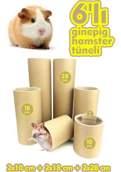 Lucky 6'lı Set Ginepig Tüneli | Hamster Tüneli | Kobay Tüneli | Kemirgen Tüneli