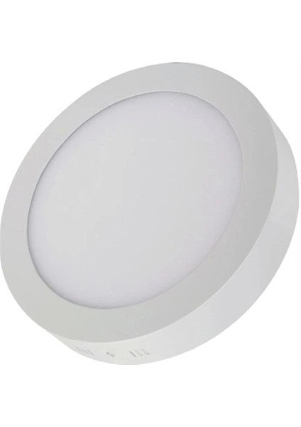 24W Yuvarlak Sıva Üstü LED Panel 3000K Beyaz Kasa