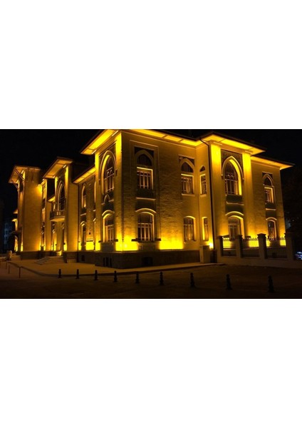 50CM Walwasher Amber