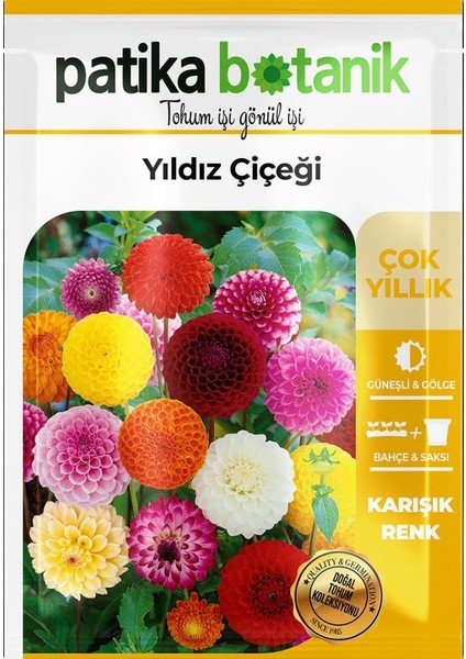 30 Adet Yıldız (Dahlia) Çiçek Tohumu fiyatları