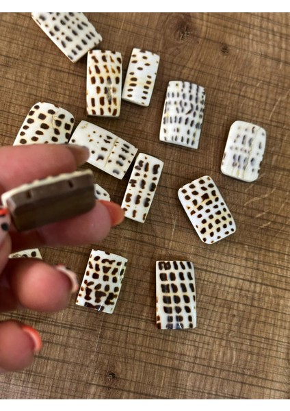 15 Adet Desenlli Ahşap Taş Kaplama Takı Boncuğu Delikli Boncuk 3x2 cm fiyatları
