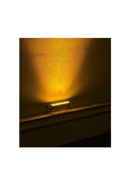 10CM Walwasher Günışığı