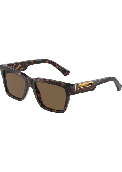 Dolce Gabbana DG4465 502/73 55 Kadın Güneş Gözlüğü