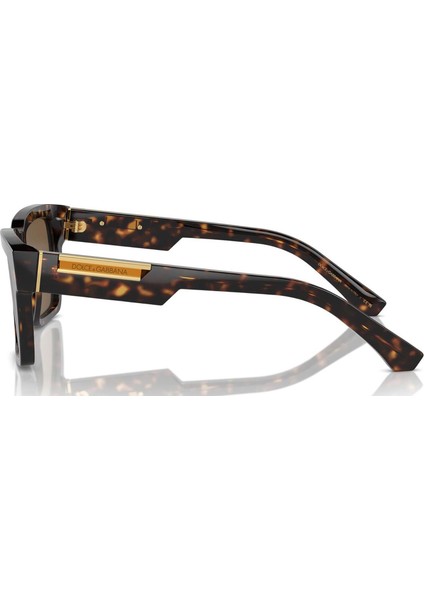 Dolce Gabbana DG4465 502/73 55 Kadın Güneş Gözlüğü modelleri