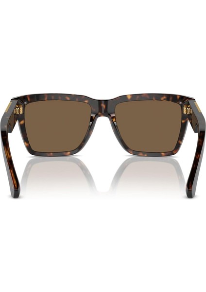 Dolce Gabbana DG4465 502/73 55 Kadın Güneş Gözlüğü fırsatları