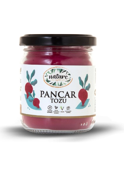 Pancar Tozu 100 gr