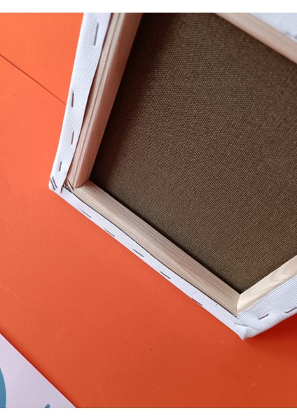 20 x 20 cm Tuval Profesyonel %100 Pamuk 380 gr Ressam Dokulu Astarlı Gergin Arkadan Zımbalı