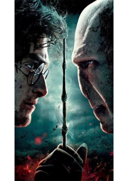 Harry Potter Ve Lord Voldemort 40 x 60 Elmas Mozaik Tablo