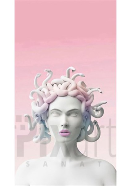 Medusa 41 x 53 Elmas Mozaik Tablo