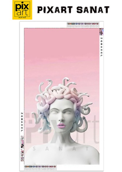 Medusa 41 x 53 Elmas Mozaik Tablo