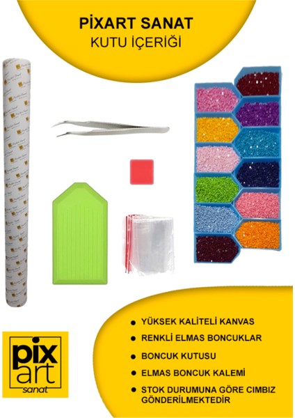 Ronesans Sanati 38 x 69 Elmas Mozaik Tablo