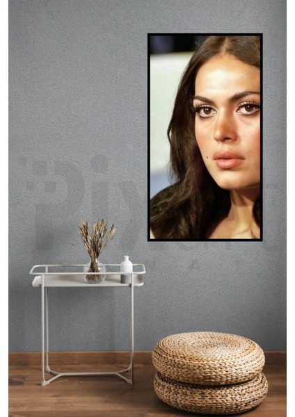 Turkan Soray 40 x 60 Elmas Mozaik Tablo