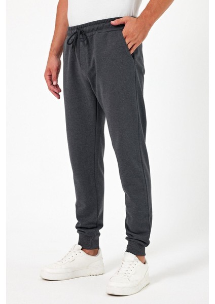 Kalın Antrasit Erkek Eşofman Altı Jogger Arka Cepli Paça Lastikli Regular Fit Şardonsuz fiyatları
