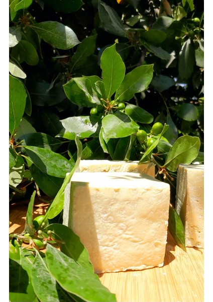 Zeytinyağlı Defneyağlı Sabun Doğal Geleneksel El Yapımı Sabun 1 Kilo. Zeytinyağı ve Defne Yağından Olşur.tamamen Doğaldır.yeni Sezon Üretimidir.