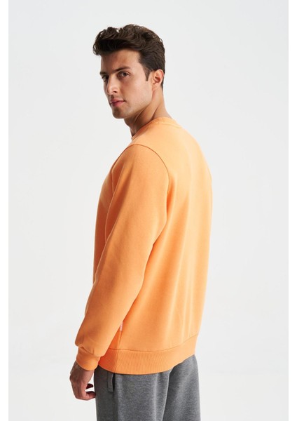 Erkek Regular Fit 3 İplik Şardonlu Pamuklu Bisiklet Yaka Sweatshirt K28124602501 fırsatları