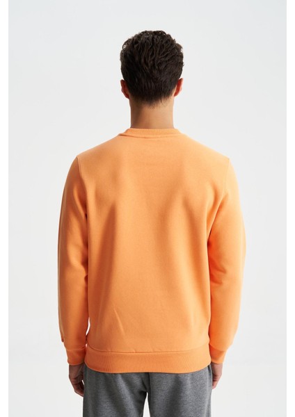 Erkek Regular Fit 3 İplik Şardonlu Pamuklu Bisiklet Yaka Sweatshirt K28124602501 indirimleri