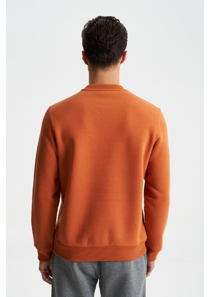 Erkek Regular Fit 3 İplik Şardonlu Pamuklu Bisiklet Yaka Sweatshirt K28124602501 indirimleri