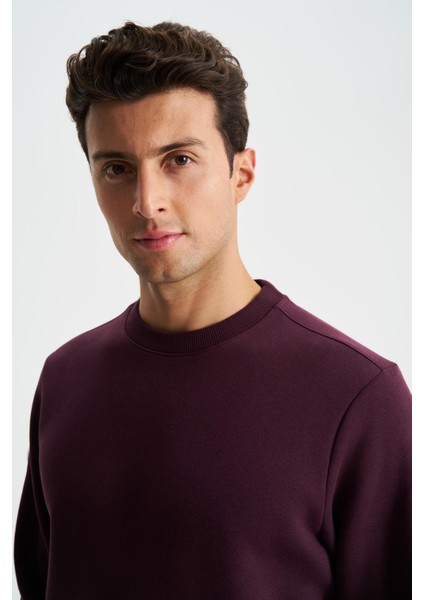 Erkek Regular Fit 3 İplik Şardonlu Yandan Tek Fermuar Cepli Bisiklet Yaka Sweatshirt K28124602101 fiyatları