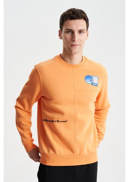 Şık Erkek Regular Fit 3 İplik Şardonlu Bisiklet Yaka Sweatshirt K28124602001 modelleri