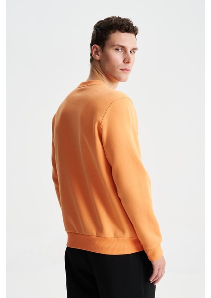 Şık Erkek Regular Fit 3 İplik Şardonlu Bisiklet Yaka Sweatshirt K28124602001 fırsatları