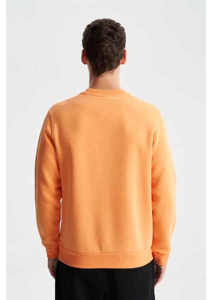 Şık Erkek Regular Fit 3 İplik Şardonlu Bisiklet Yaka Sweatshirt K28124602001 indirimleri