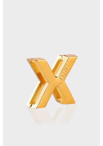 Gold Charm-X