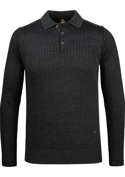 Erkek Polo Yaka Triko Kazak Desenli Kol ve Bel Lastikli Çelik Örgü Klasik Kalıp - 5004F