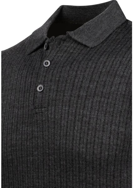 Erkek Polo Yaka Triko Kazak Desenli Kol ve Bel Lastikli Çelik Örgü Klasik Kalıp - 5004F modelleri