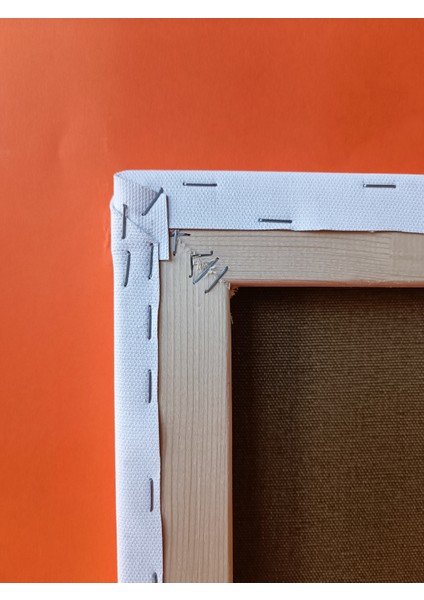 110X110 cm Tuval Profesyonel 1.kalite %100 Pamuk 380GR/M2 Ressam Dokulu Astarlı Gergin Arkadan Zımbalı indirimleri