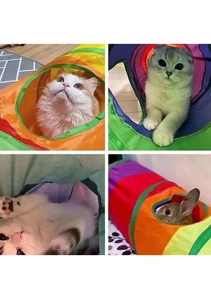 Katlanabilir Kedi Oyun Tüneli Gökkuşağı 117 cm + Sonrisa Pets Organik Kedi Çimi 2 Li