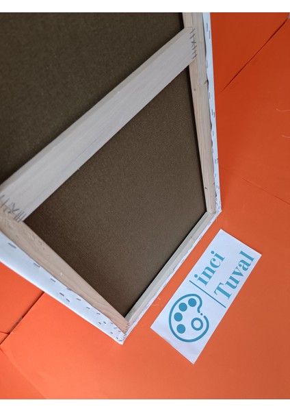 35X80 cm Tuval Profesyonel 1.kalite %100 Pamuk 380GR/M2 Ressam Dokulu Astarlı Gergin Arkadan Zımbalı modelleri