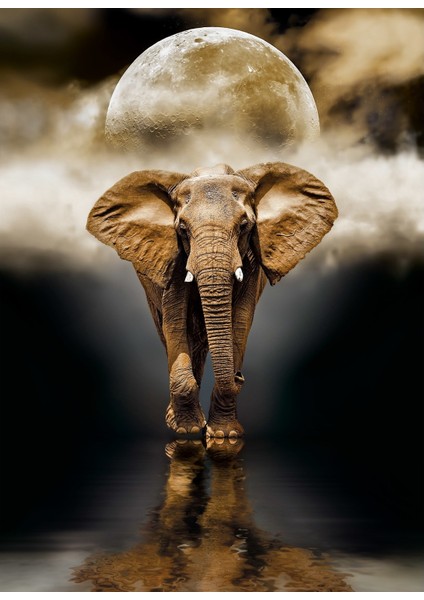 The Elephant 1000 Parça High Quality Collection Yetişkin Puzzle