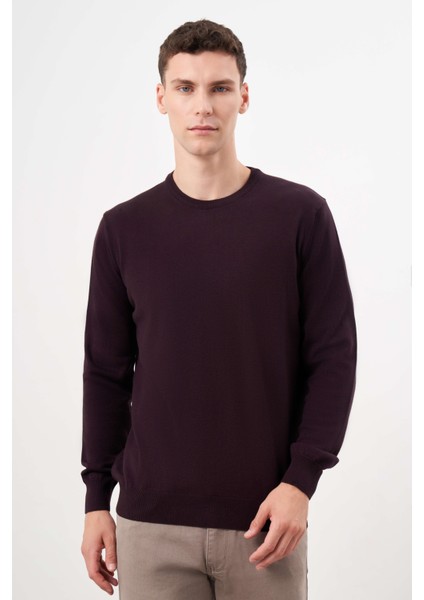 Erkek Mor Basic Bisiklet Yaka Dynamic Fit Rahat Kesim Triko