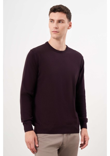 Erkek Mor Basic Bisiklet Yaka Dynamic Fit Rahat Kesim Triko fiyatları