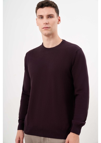 Erkek Mor Basic Bisiklet Yaka Dynamic Fit Rahat Kesim Triko modelleri