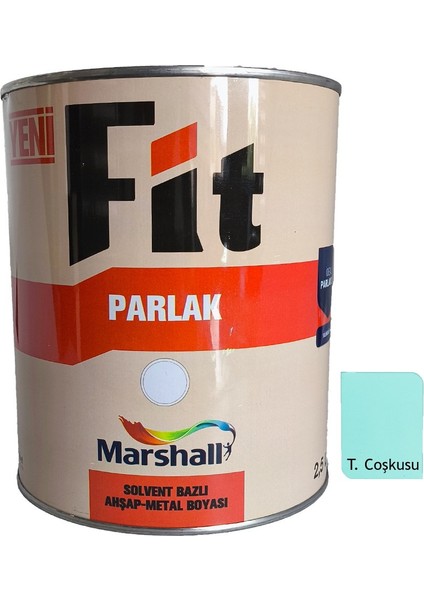 Fit Parlak Sentetik Yağlı Boya 2.5 Lt Turkuaz Coşkusu