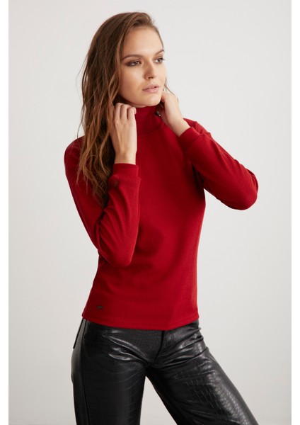 Padma Kadın Dik Yaka Dar Kesim Viskon Karışımlı Bordo Bluz modelleri