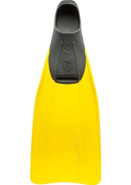 Clio Dalış Paleti Yellow-No:41-42 fiyatları