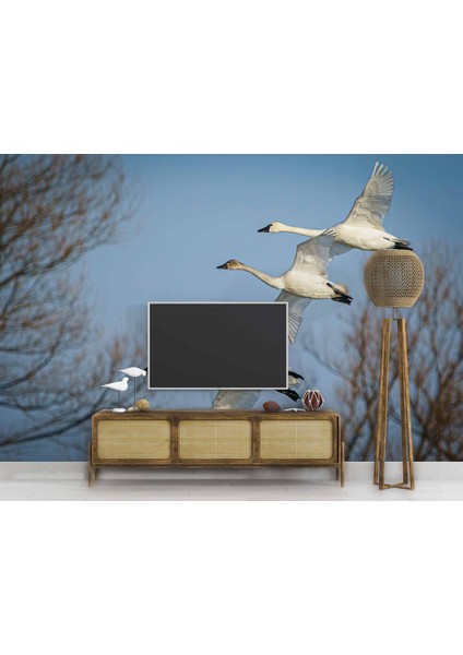 Leylek Göç Manzaralı modelleri