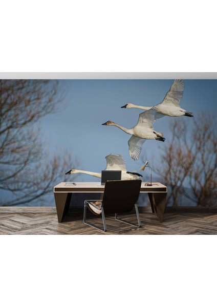 Leylek Göç Manzaralı fırsatları