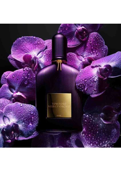 Ford Velvet Orchid Edp 100ML