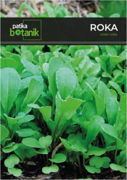 Roka Tohumu 5000 Adet Tohum 10 gr